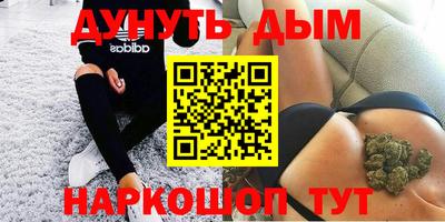 альфа пвп Новодвинск