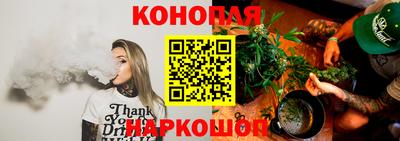 альфа пвп Новодвинск