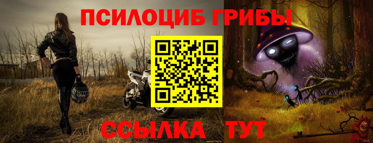 Псилоцибиновые грибы Magic Shrooms Троицк