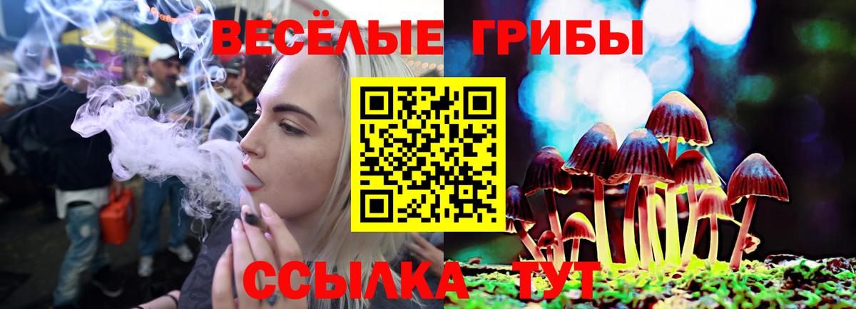 Псилоцибиновые грибы Magic Shrooms  Галлюциногенные грибы Cubensis  что такое   Вход с VPN  Троицк 